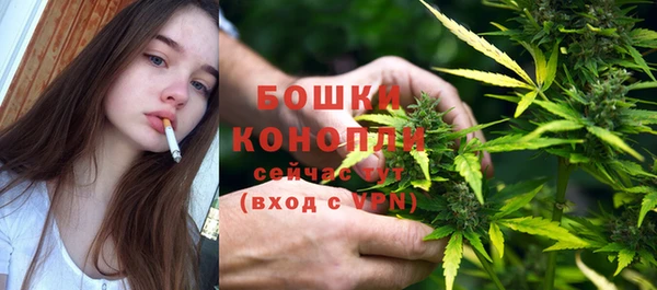 трава Алзамай